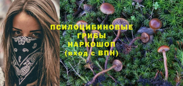 мдма Беломорск