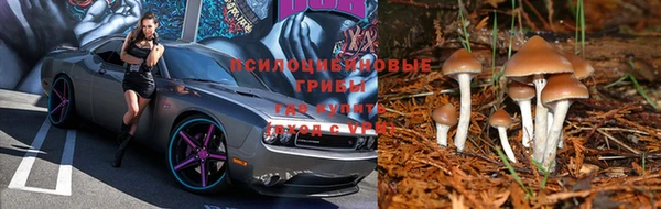 мдма Беломорск