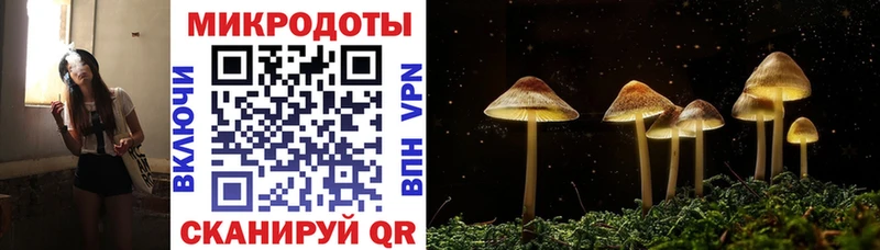 Псилоцибиновые грибы ЛСД  Жуковка 